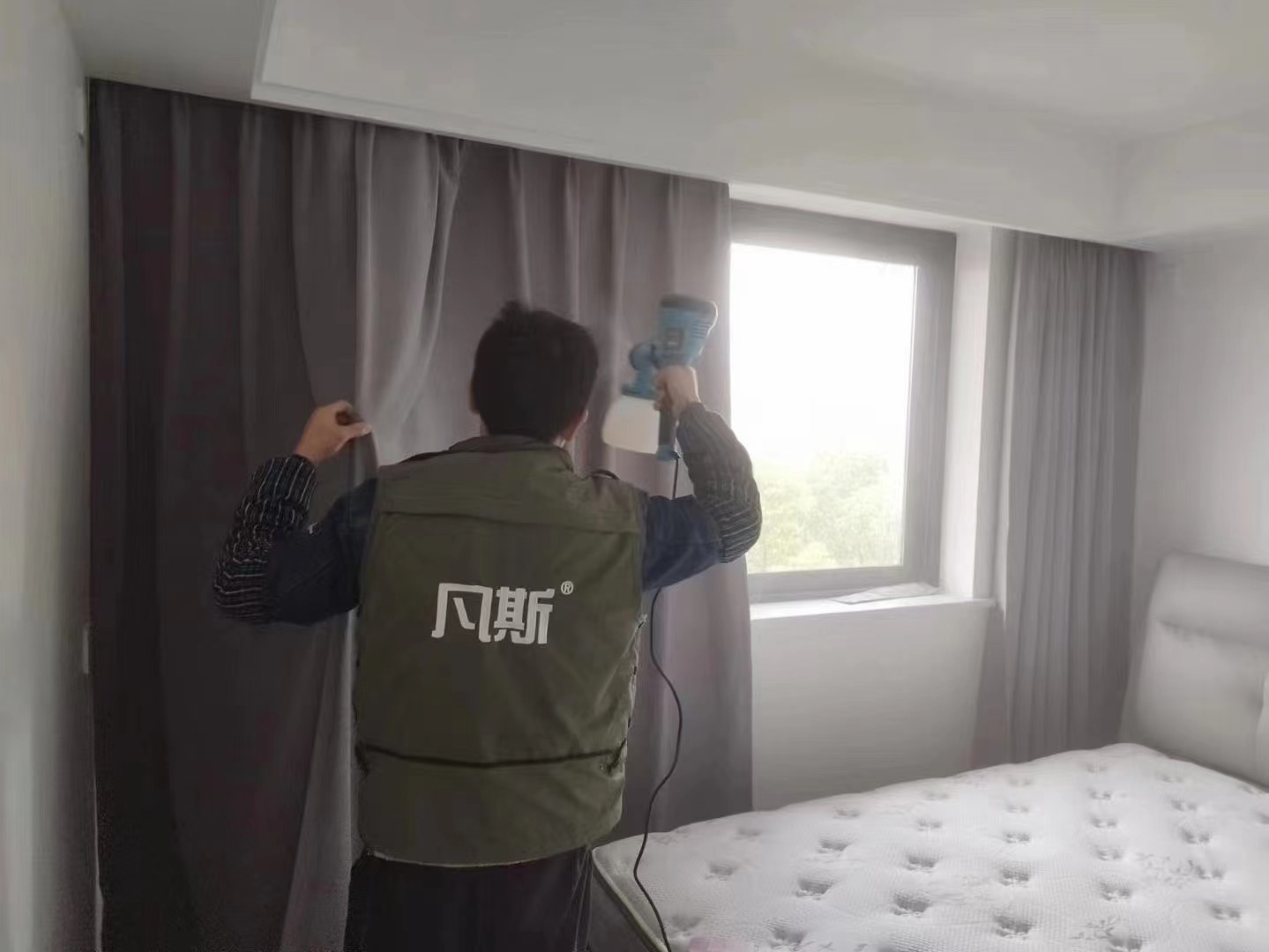 家居綠植該怎么選？好看又能清新空氣