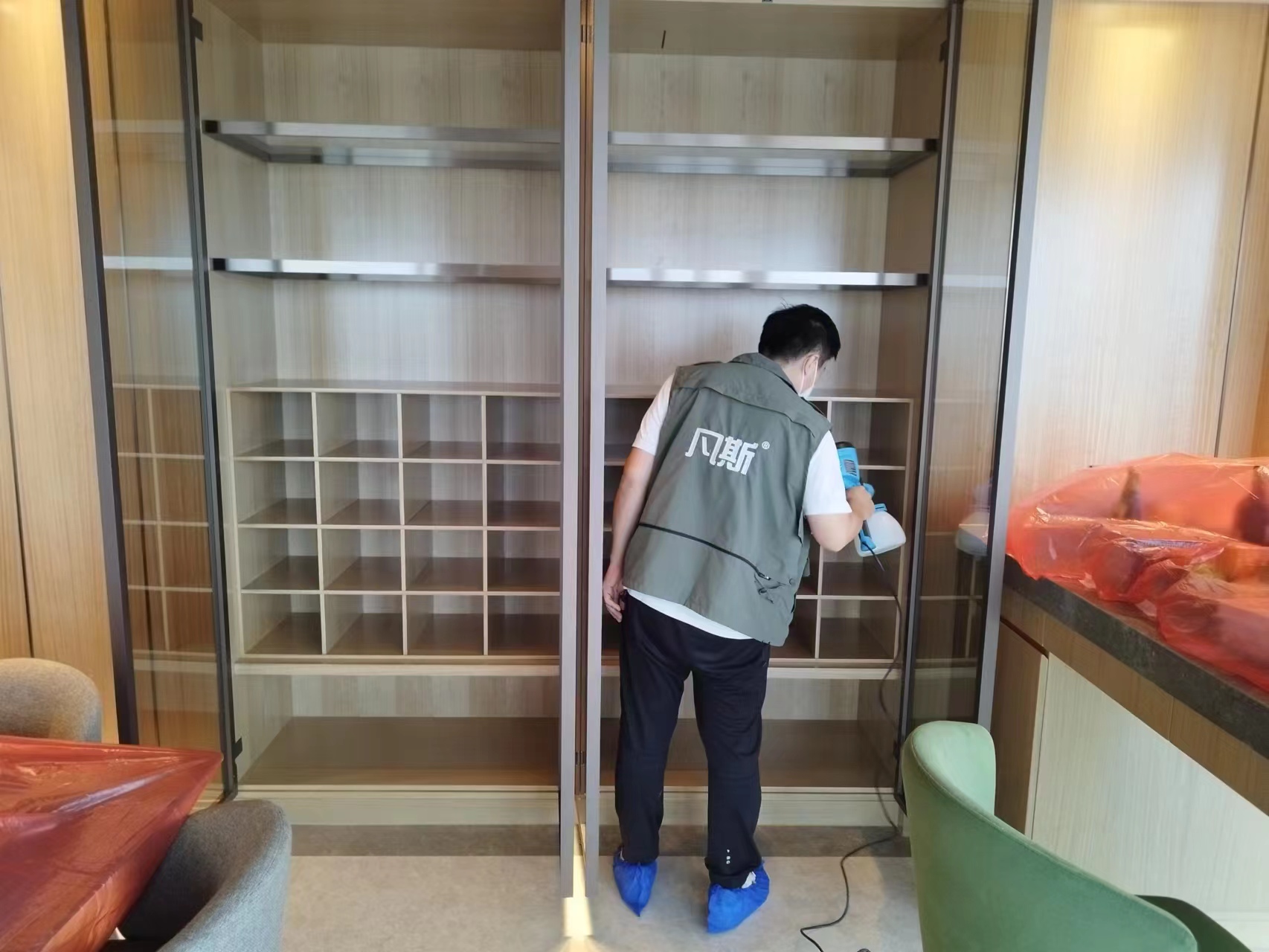 家里綠植的選購(gòu)技巧，凈化室內(nèi)空氣